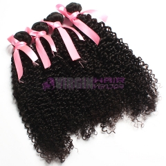 Wholesale price  top remi virgin malaysian hair extensions