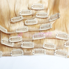 Clip In Virgin Brazilian Straight Hair Clip In Human Hair Extensions #24 Color Clip In Hair Extension