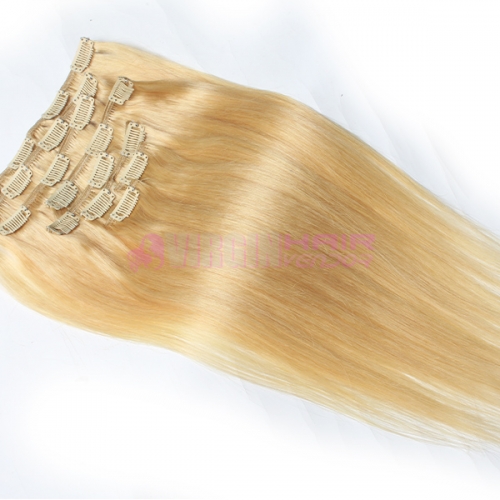 Clip In Virgin Brazilian Straight Hair Clip In Human Hair Extensions #24 Color Clip In Hair Extension