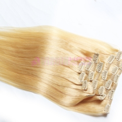 Clip In Virgin Brazilian Straight Hair Clip In Human Hair Extensions #24 Color Clip In Hair Extension