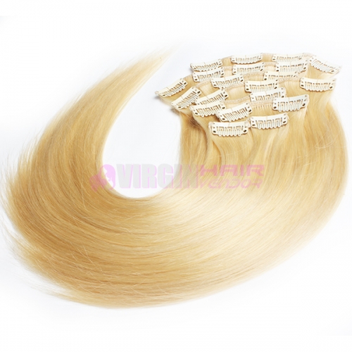 Fast Shipping 100% Brazilian Virgin Remy Clips In Human Hair Extensions Full Head #613