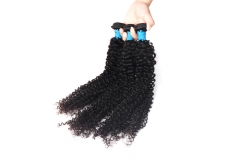 Curly Remy Hair Bundles 1B