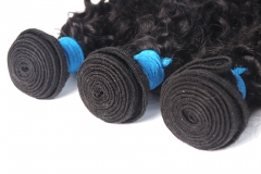 Curly Remy Hair Bundles 1B