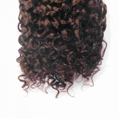 4# Pixie Curly Micro Ring Loop Feather Crochet Hair Extension Remy Hair