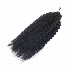 Kinky Curly Feather Crochet Hair Extension Remy Hair 20CM