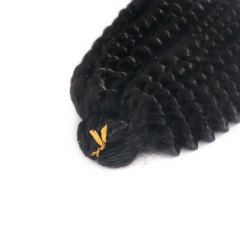 Kinky Curly Feather Crochet Hair Extension Remy Hair 20CM