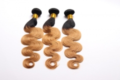 Body Wave Remy Hair Bundles R1-27