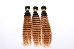 Deep Wave Remy Hair Bundles R1-27