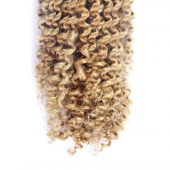 #27 Kinky Curly Crochet Remy Hair Bulk For Spring Twist / Braids Style