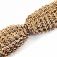 #27 Kinky Curly Crochet Remy Hair Bulk For Spring Twist / Braids Style