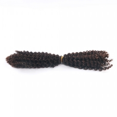 #2 Kinky Curly Crochet Remy Hair Bulk For Spring Twist / Braids Style