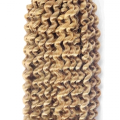 #27 Kinky Curly Crochet Remy Hair Bulk For Spring Twist / Braids Style