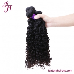 Double Weft Mink Brazilian Virgin Hair Bundles Water Wave weave