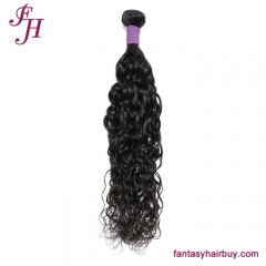 FH Virgin Brazilian Hair Water Wave Hair Bundle
