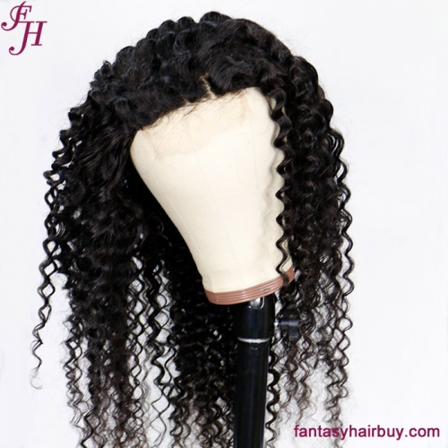 FH 4x4 Transparent Lace Closure Deep Curly Human Hair Wig
