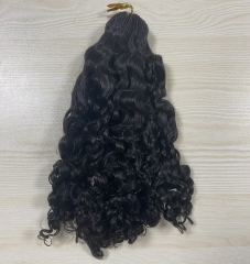burmese curly