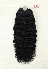 Burmese Curly