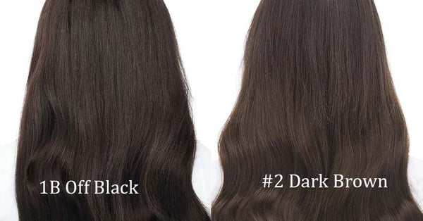 1b vs 2 hair color