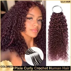 【Colored Feather Crochet Hair】Pixie Curly #2 #4 #99J #27 #30 Color Micro Ring Loop Crochet Soft Human Hair Extension 5pcs/pack (150g) ULH259