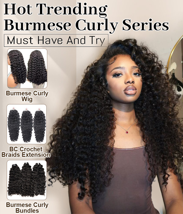 Burmese Curly Series