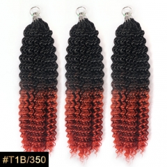 #T1B/350