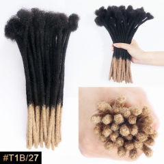 T1B/27