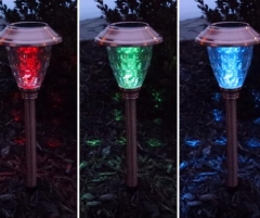 Solar Pathway Light