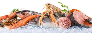 Seafood