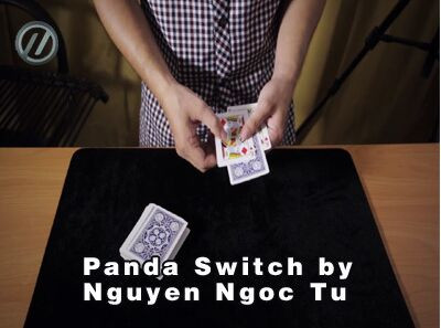 2015 T11 Panda Switch by Nguyen Ngoc Tu