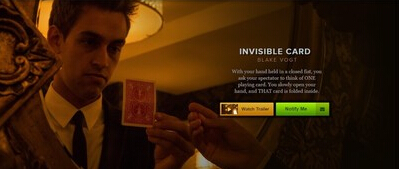 2015  T11 The Invisible Card by Blake Vogt
