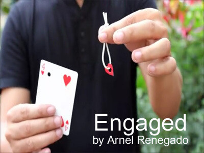 2015 Engaged by Arnel Renegado