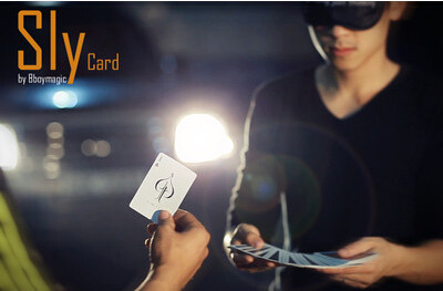 2015 Sly Card by Bboymagic