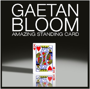 2013 Amazing Standing Card by Gaetan Bloom