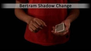2011  Mystery Mark - Bertram Shadow Change