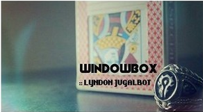 2013 Windowbox by Lyndon Jugalbot