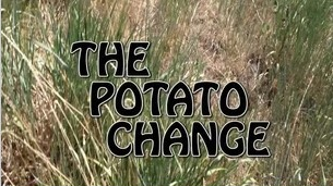 2013 T11 Potato Change by Gerald Robinson