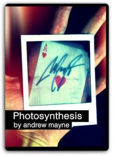 2011 Andrew Mayne - Photosynthesis