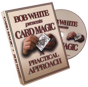 A Practical Approach by Bob White （2010）