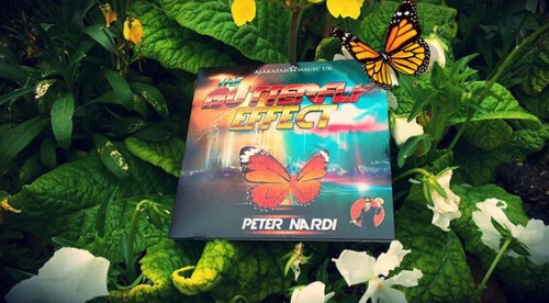 The Butterfly Effect by Peter Nardi