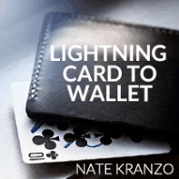 Lightning Card To Wallet by Nate Kranzo