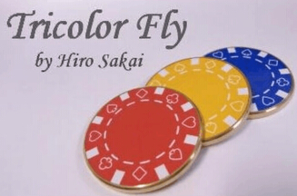 Tricolor Fly by Hiro Sakai