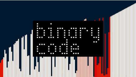 Binary Code by Rick Lax