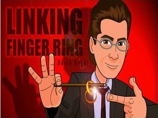 2013 Linking Finger Ring by David Regal