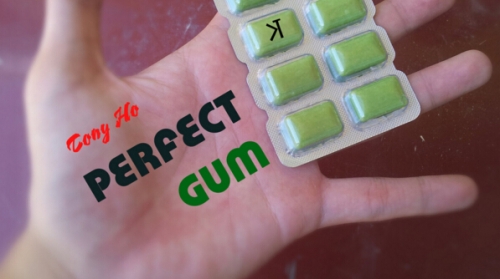 Perfect Gum by Tony Ho and Kelvin Trinh Presents