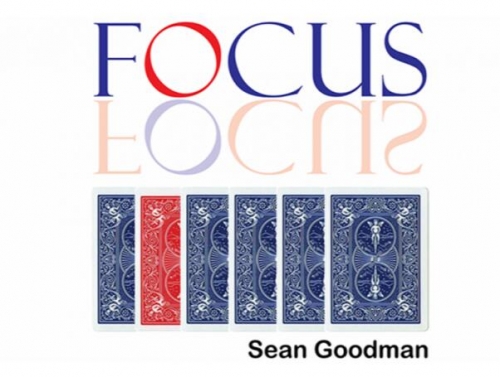 Sean Goodman - Focus