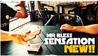 Sensation by Mr Bless