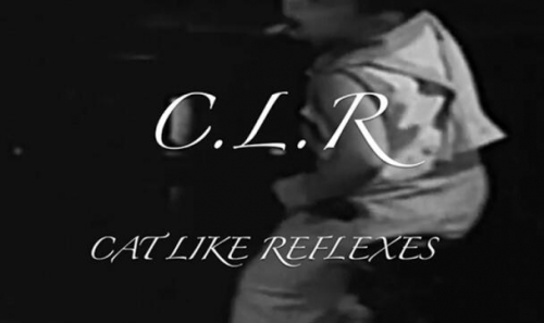 CLR by Dan Hauss video