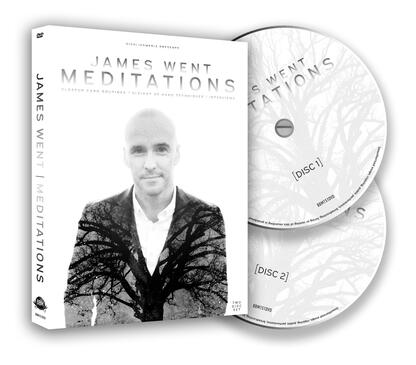 Meditations by James Went