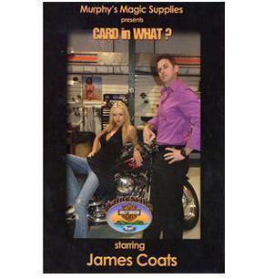Card in What by James Coats