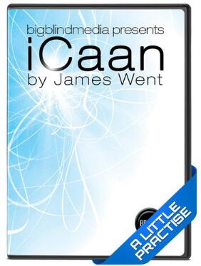 iCaan Card At Any Number by James Went